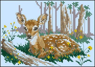 Sweet fawn