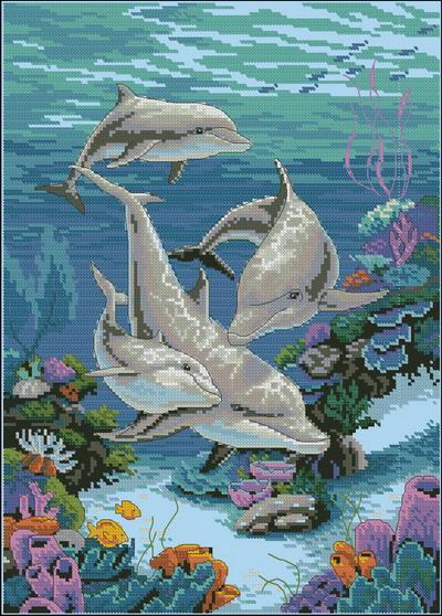 The Dolphins