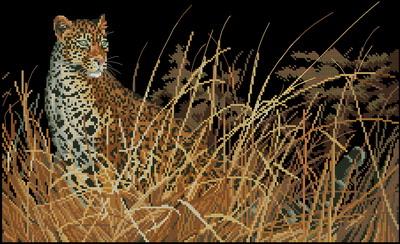 The Leopard Hunts Alone