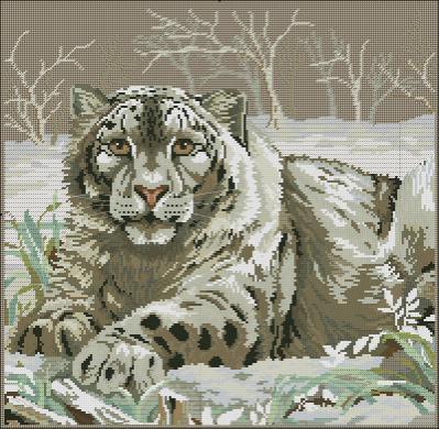 The snow leopard