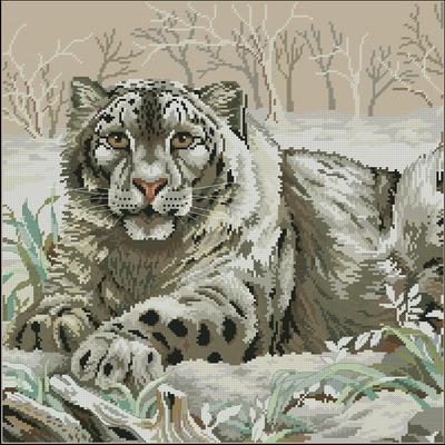 The Snow Leopard