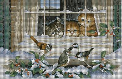Three bird watchers