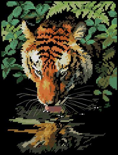 Tiger reflection