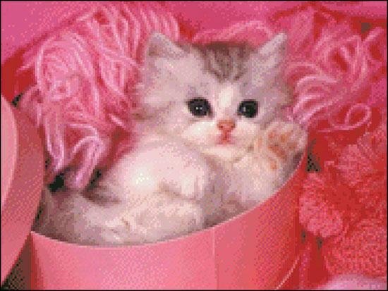 Tranh Đá Cat Cute