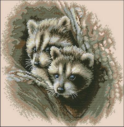 Two Racoon Cubs