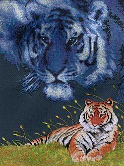 Wild Life Tiger