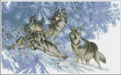 Wintertime Wolvels