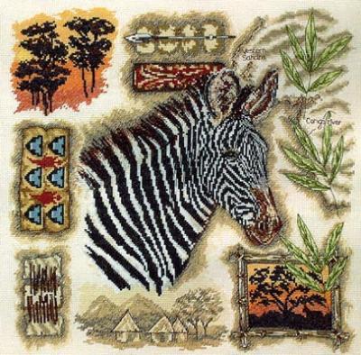 Zebra